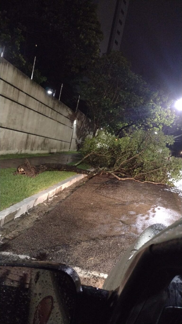 VÍDEO chuva forte e ventania assustam moradores de João Pessoa cidade