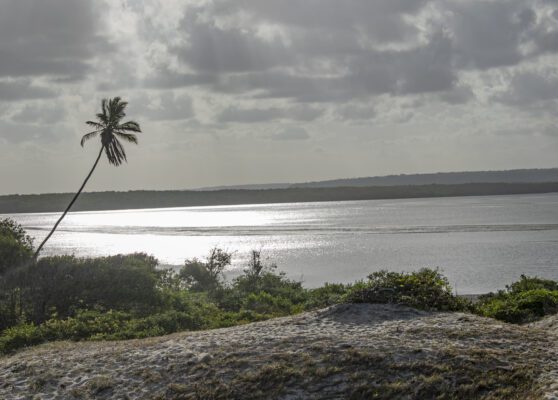 Área de Proteção Ambiental (APA) da Barra do Rio Mamanguape foi criada em 1993. (foto: Joaquim Neto/acervo pessoal)