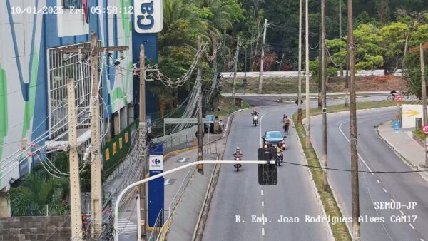 Carro no provocou problemas de trfego