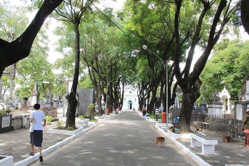 Vereador apresenta projeto para sepultar cães e gatos em jazigos nos cemitérios de João Pessoa