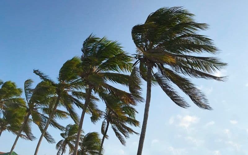 Inmet emite alerta de vendaval e baixa umidade para cidades da Paraíba; confira quais