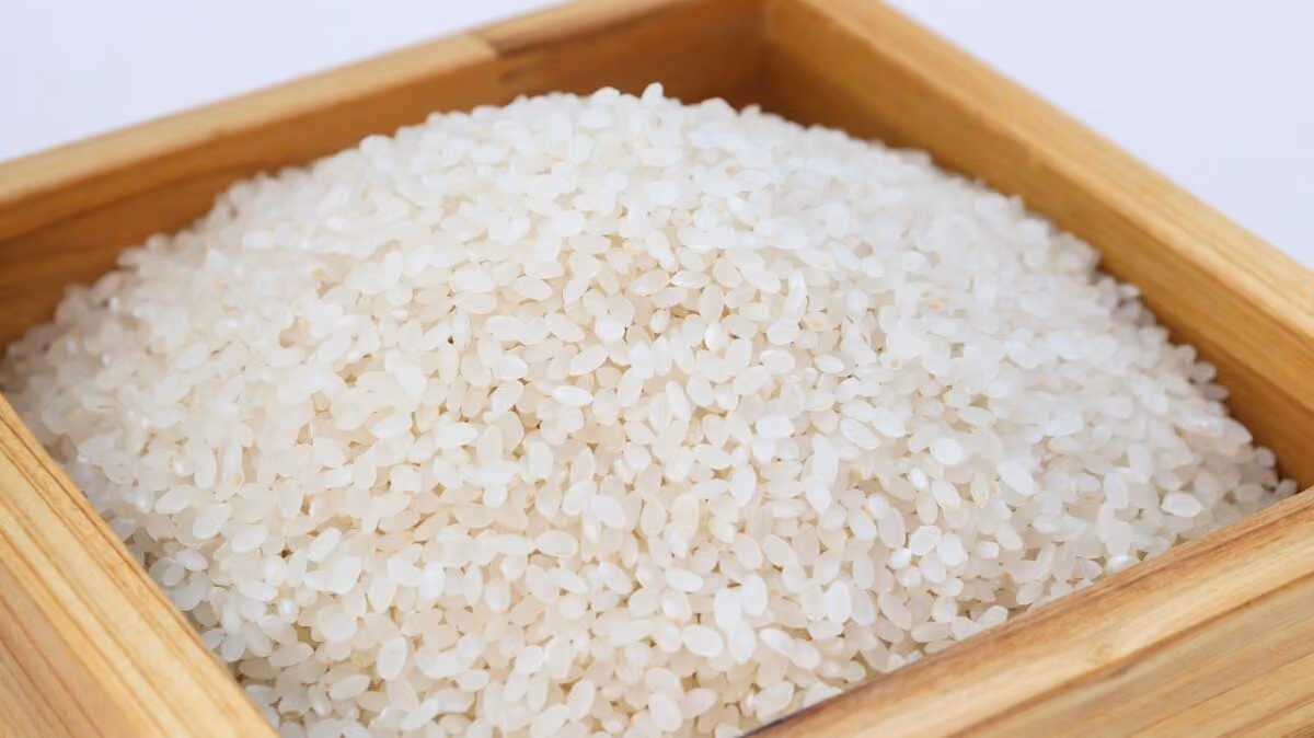 Após terremoto, Brasil doará 10 toneladas de arroz à Colômbia