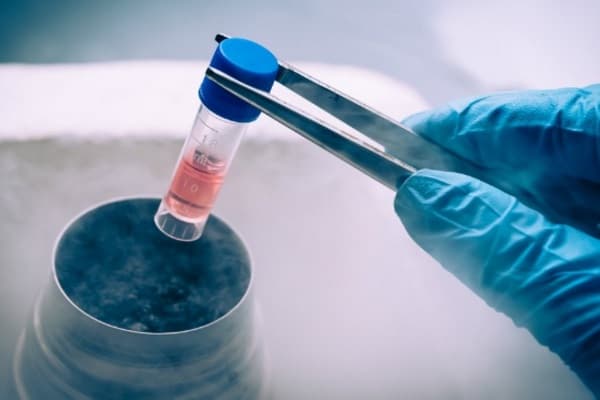 Novo tratamento em teste promete cura da leucemia