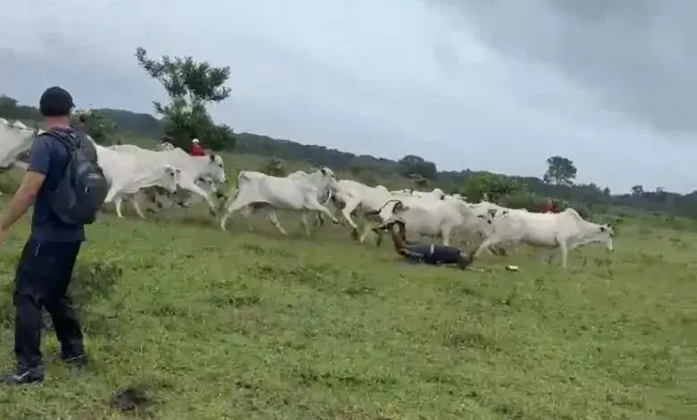 Boiada atinge grupo de trilha durante percurso em área rural na Paraíba e vídeo viraliza