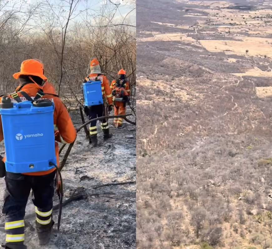 Bombeiros encerram força-tarefa após controlar incêndio florestal na serra de Lagoa
