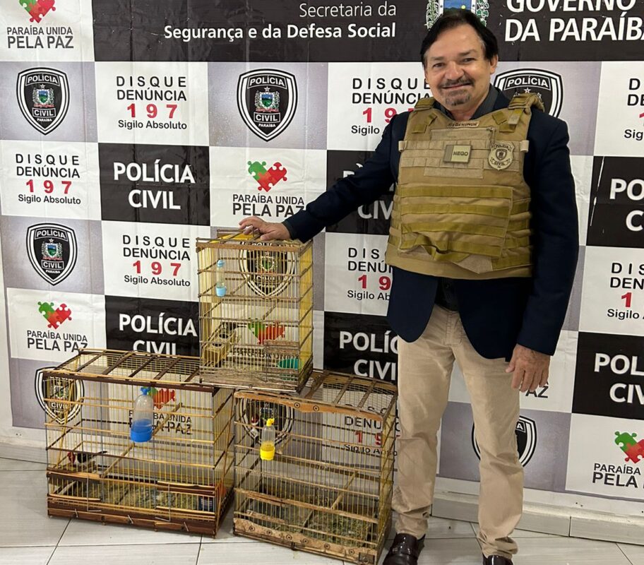 Polícia prende suspeito de tentativa de homicídio com arma e pássaros silvestres em Princesa Isabel; animais foram soltos