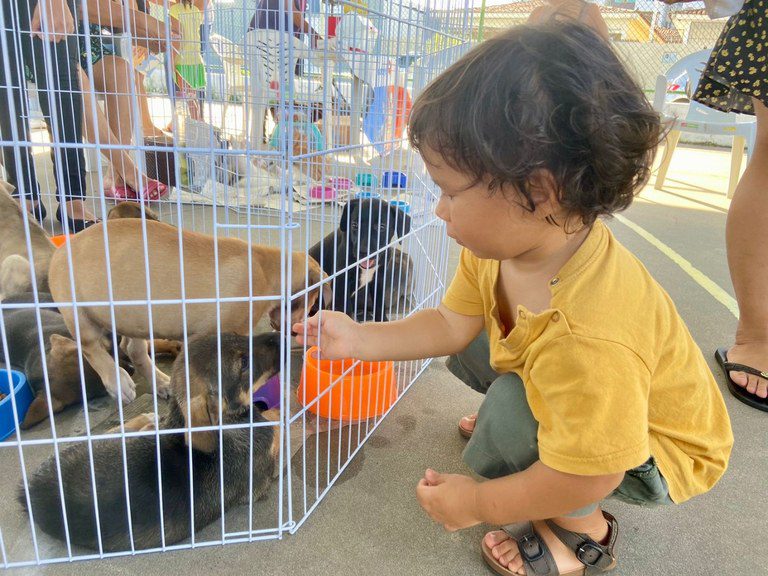 Feira do programa 'Paraíba Pet' foi realizada ontem (23) em João Pessoa.