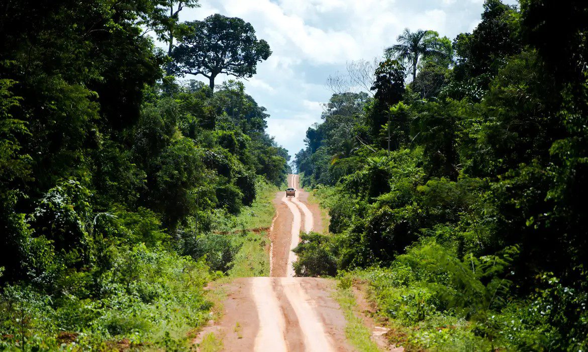 Amazônia, Desmatamento