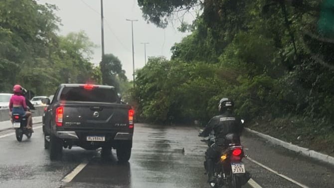VÍDEO: árvore cai e deixa trânsito lento na BR-230, na Grande João Pessoa