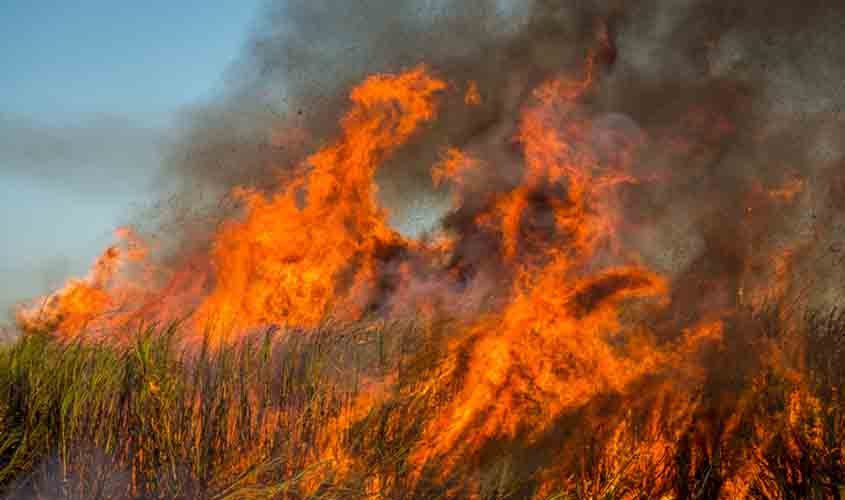 Incêndio, Canavial, Fogo, Paraíba