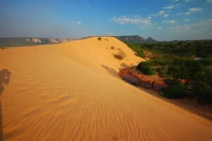 dunas do jalapão, incêndio, tocantins