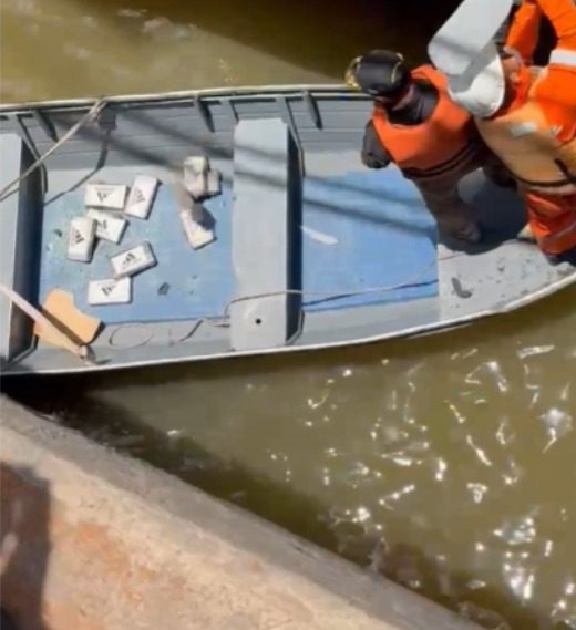 PF apreende 39 kg de cocaína em navio usado para transporte de bois