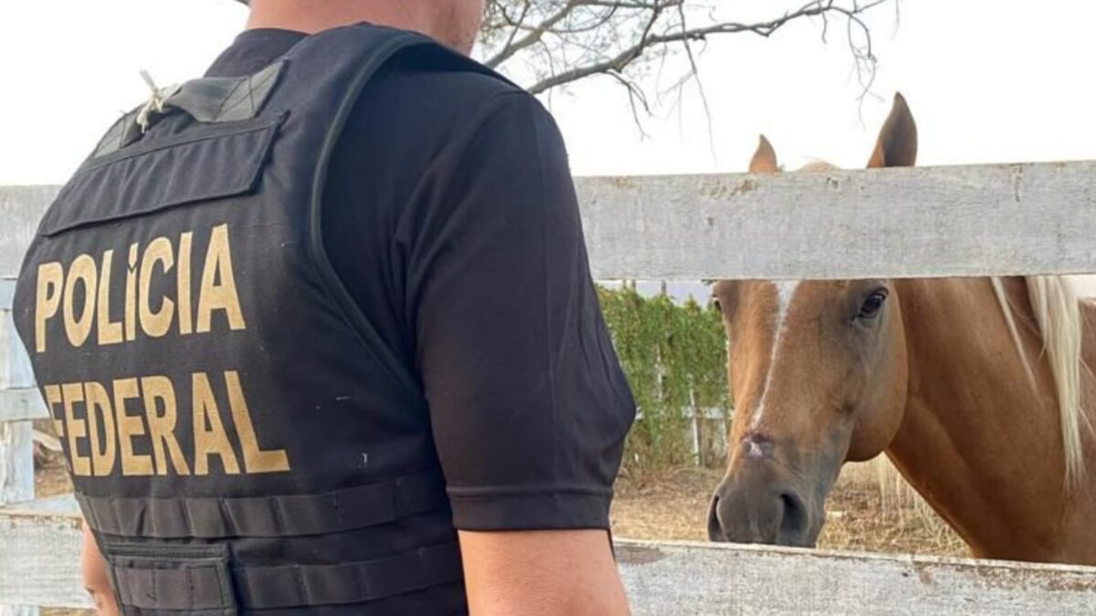 Operação Polícia Federal