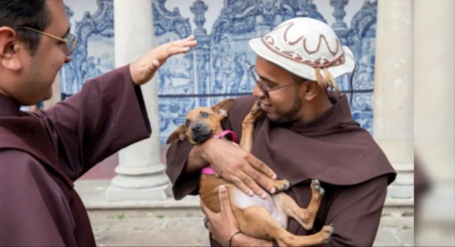 Dia de São Francisco é celebrado com bênção de animais em várias igrejas e capelas de João Pessoa; confira programação