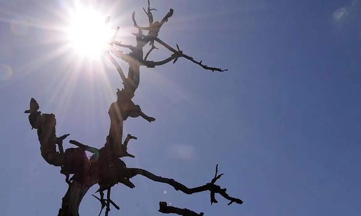 onda de calor paraíba ALERTA