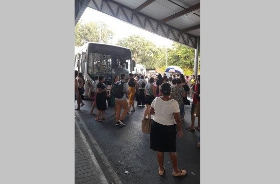 ônibus, Mulher, atropelada