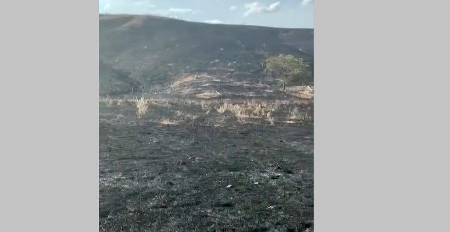 Vegetação, Queimada, Manaíra, Incêndio, Crime ambiental