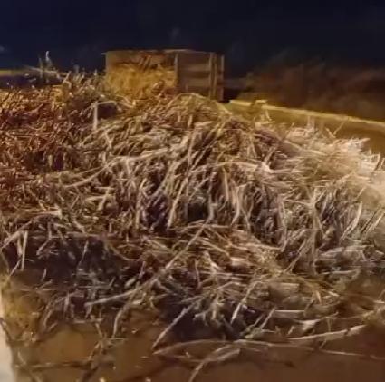 Caminhão de cana de açúcar tomba na BR-101, em Mamanguape