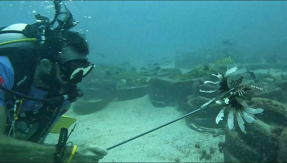 Peixe-leão é capturado em expedição aquática no litoral da Paraíba. Foto: Sudema