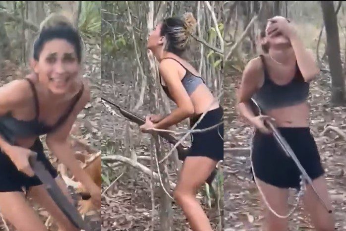 Ibama identifica e multa mulher de vídeo viral que mata onça-parda