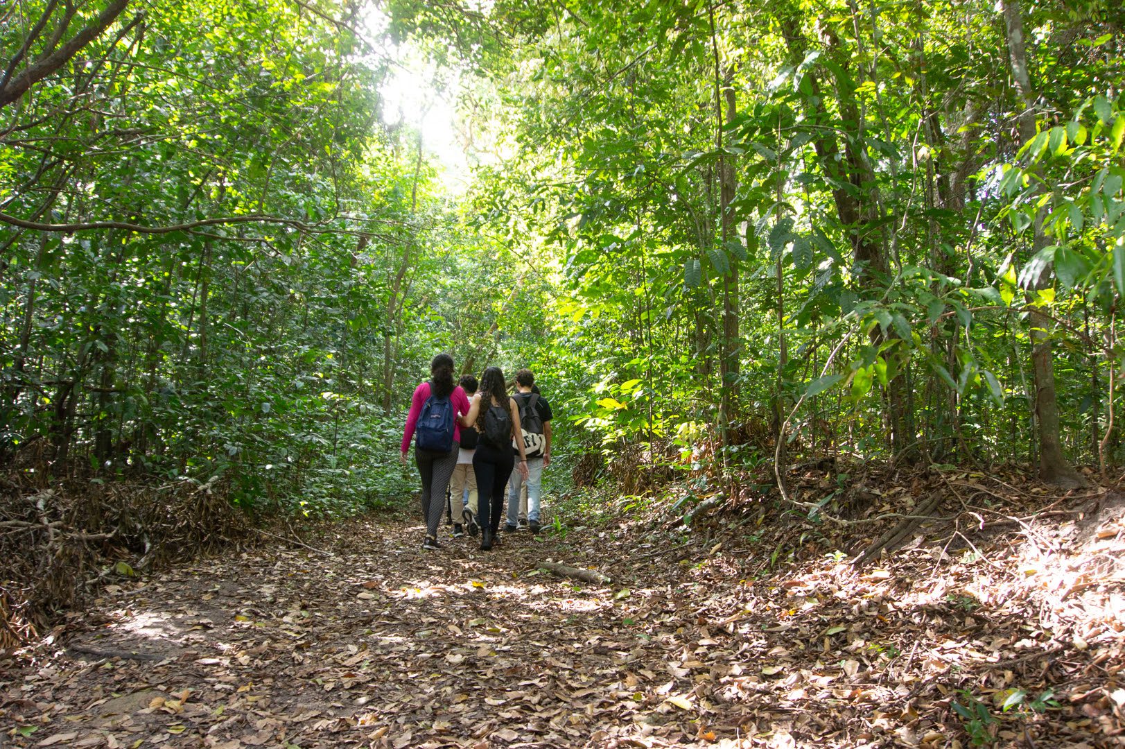 Férias: trilhas temáticas e imersão sensorial na natureza são opções educativas para adolescentes em João Pessoa